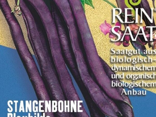 Mahune BLAUHILDE - visoke