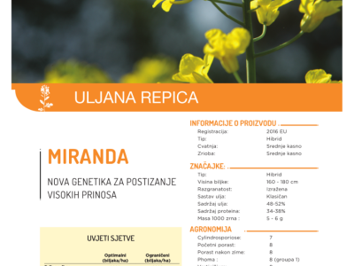 Miranda - Uljana repica Mass seeds