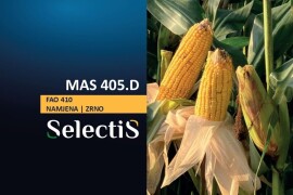 MAS 405 D - SelectiS hibrid kukuruza