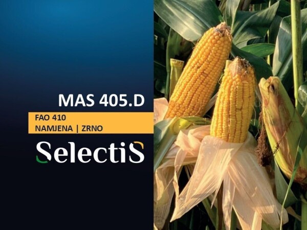 MAS 405 D - SelectiS hibrid kukuruza