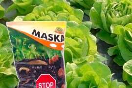 Maska prirodni repelent 1 kg