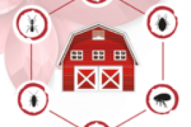 MAXI STARR SVJEŽI i ŽITNI MAMAC