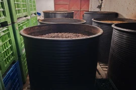Meka rakija