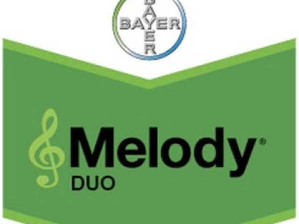Melody Duo
