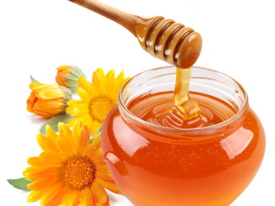 Prodajem  suncokretov med, bagremov med i livadski  med