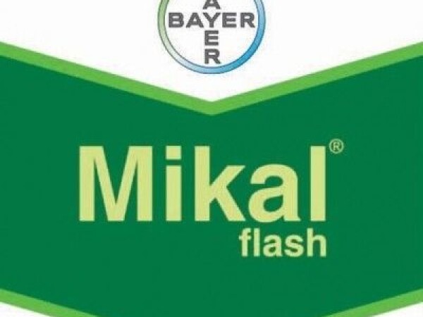 Mikal Flash
