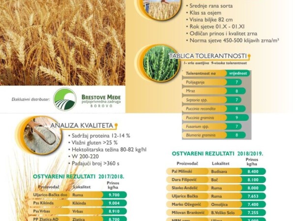 Montecristo-pšenica tvrtke Caussade semences zastupnik za RH  PZ Brestove međe Borovo