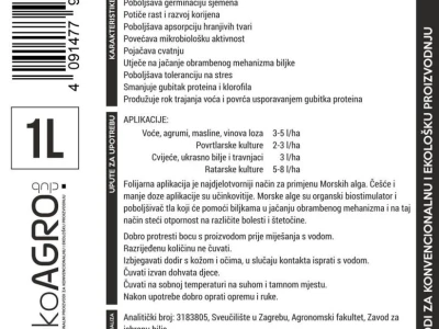 Morske Alge – Ascophyllum nodosum