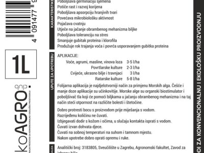 Morske Alge – Ascophyllum nodosum