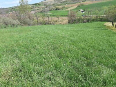 Na prodaju poljoprivredno zemljište-plac