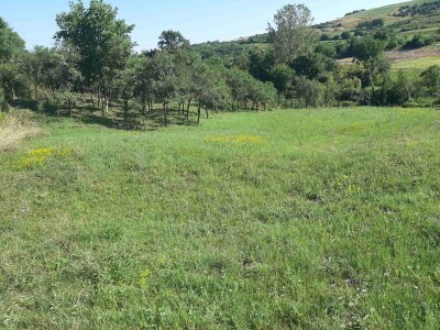 Na prodaju poljoprivredno zemljište-plac