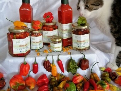 Najljuce cili paprike i proizvodi od njih