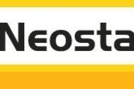 SY Neostar CLP - hibrid suncokreta