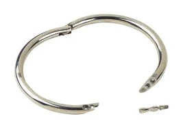 Niklovana karika za bika Kamer