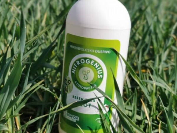 Nitrogenius - efikasna ishrana biljaka azotom