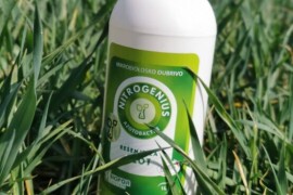 Nitrogenius - efikasna ishrana biljaka azotom