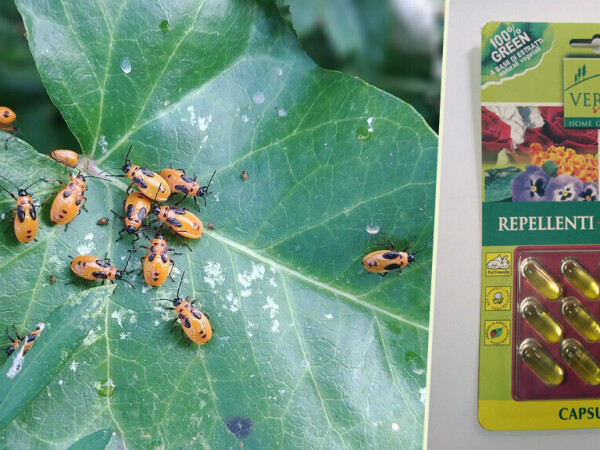 Stop insektima - gel u kapsulama!