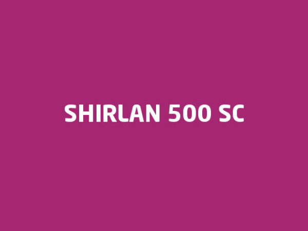 Shirlan 500 SC