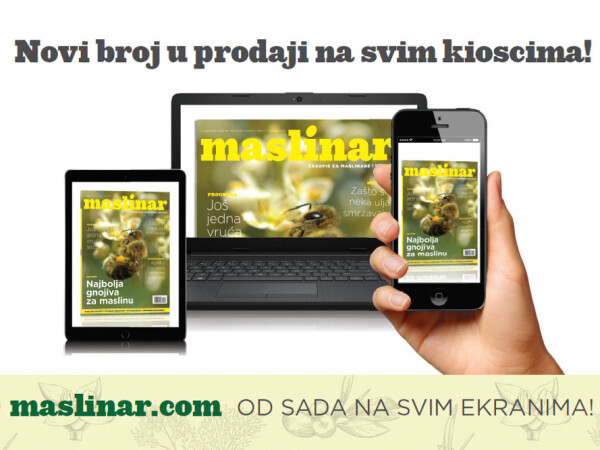 Novi broj časopisa Maslinar na svim kioscima, travanj 2019.!
