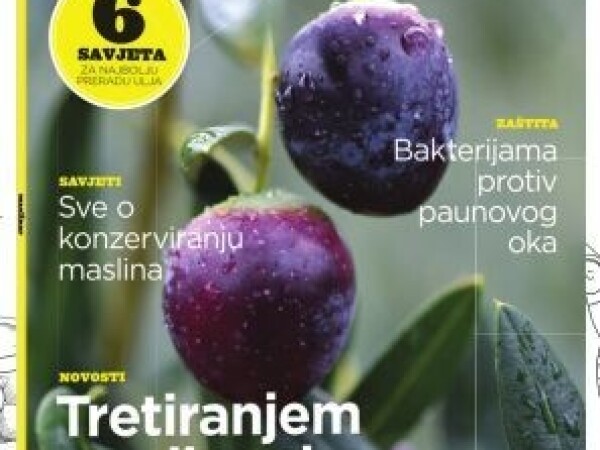 Novi broj najboljeg maslinarskog časopisa na svim kioscima!