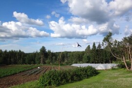 Scarybird - Čuvar vaših usjeva i plodova traži distributere za Hrvatsku!