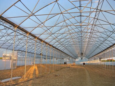 Folija za plastenik, 200 mikrona