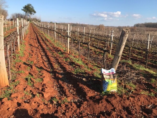 Jesenska gnojidba - preduvjet dobre berbe sljedeće godine