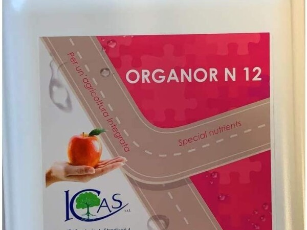 Organor N12