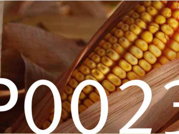 Novi dalekometni pucač na prinose!