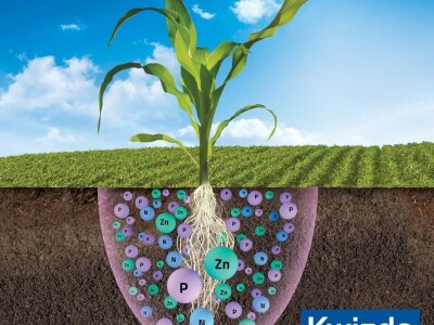 Pannon Starter Perfect Pro