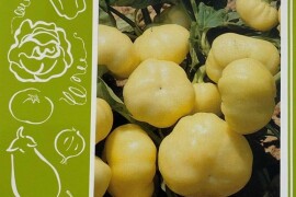 PAPRIKA BOTINSKA RUMENA(BOTINEČKA ŽUTA) 50 G