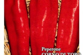 Paprika CORNO DI TORO ROSSO