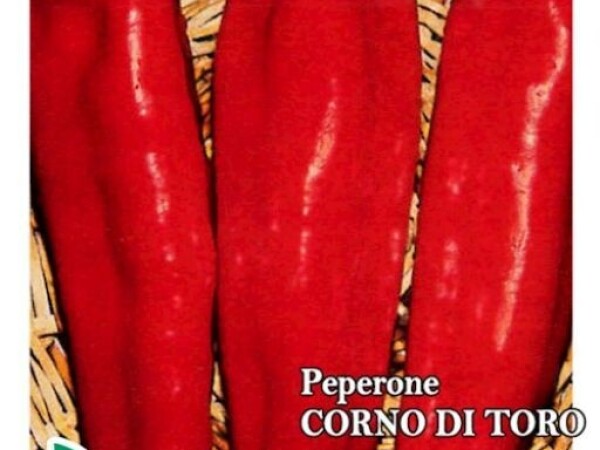 Paprika CORNO DI TORO ROSSO