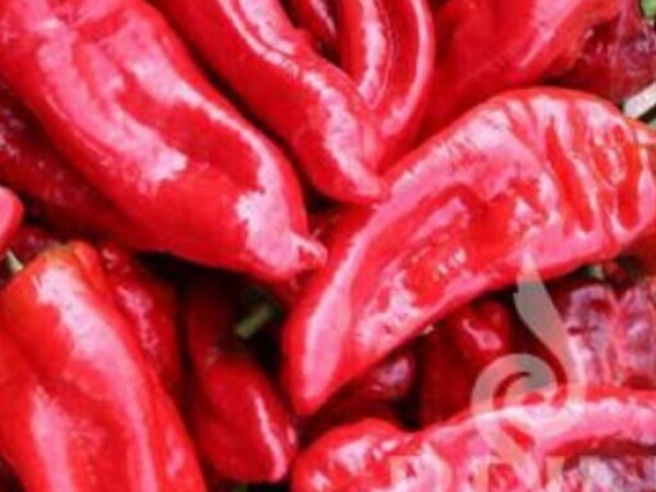 Paprika Dulce Italiano