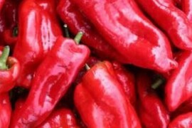 Paprika DULCE ITALIANO