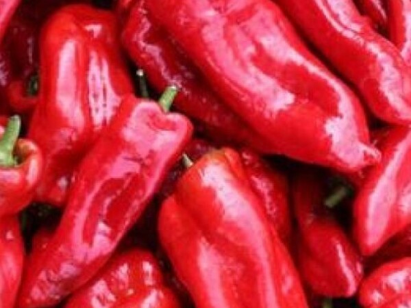 Paprika DULCE ITALIANO