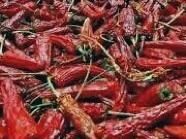 Paprika Venčara Ljuta