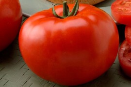 Paradajz Big Beef F1 100sem / 500sem