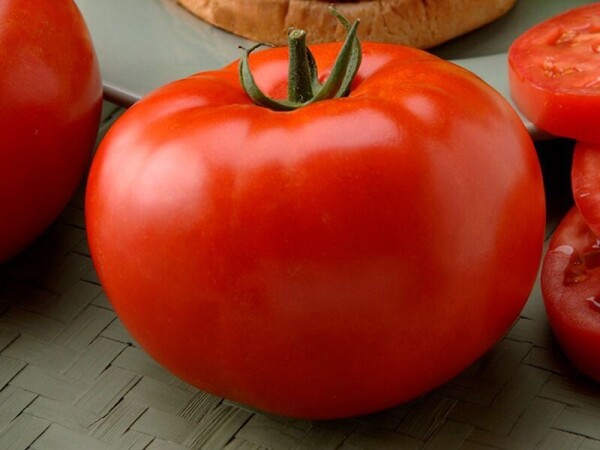 Paradajz Big Beef F1 100sem / 500sem