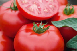 Paradajz Motril F1 250 sem