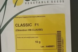Patlidžan Classic F1 sjeme