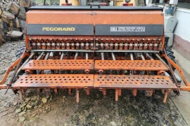 Pegoraro sijacica