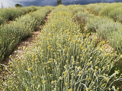 Book your visit every day on office@naturaconulting.hr or call us on gsm: +38591 5101590