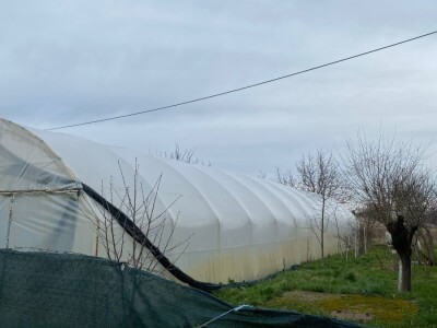 Plastenik na prodaju 25m dužina, 8.5 x 3.5