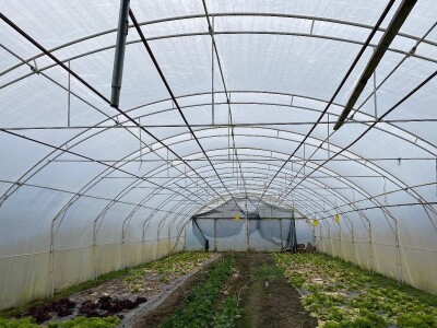 Plastenik na prodaju 25m dužina, 8.5 x 3.5