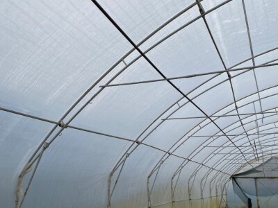 Plastenik na prodaju 25m dužina, 8.5 x 3.5