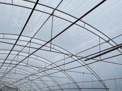 Plastenik na prodaju 25m dužina, 8.5 x 3.5