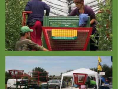 Platforma za berbu voća