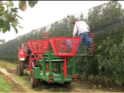 Platforma za berbu voća