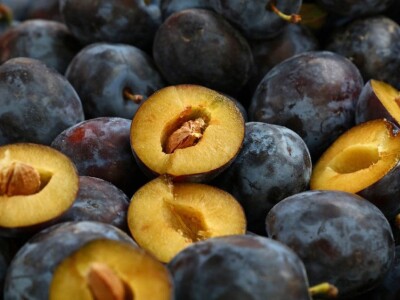 Prodajem šljivovu rakiju